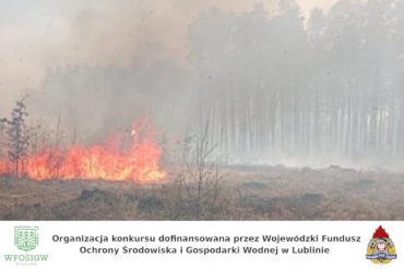 Stop pożarom lasów